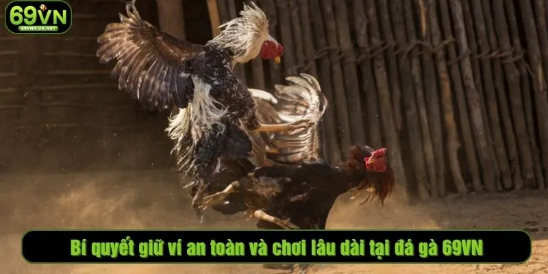 Bí quyết giữ ví an toàn và chơi lâu dài tại đá gà 69VN