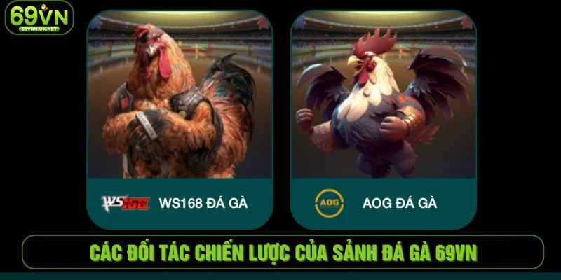 Các đối tác chiến lược của sảnh đá gà 69VN