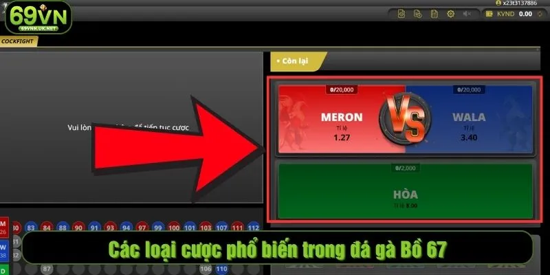 Các loại cược phổ biến trong đá gà Bồ 67