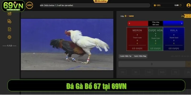Đá Gà Bồ 67 tại 69VN