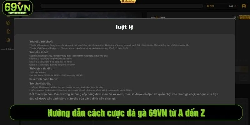 Hướng dẫn cách cược đá gà 69VN từ A đến Z