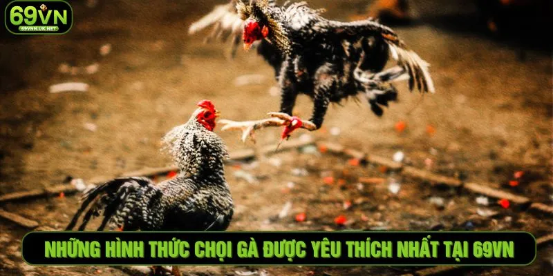 Những hình thức chọi gà được yêu thích nhất tại 69VN