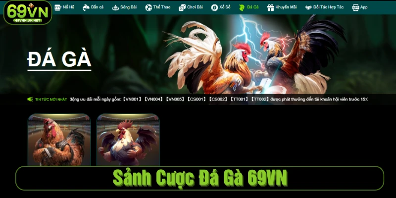 Sảnh cược đá gà hấp dẫn với nhiều trận đấu nảy lửa 