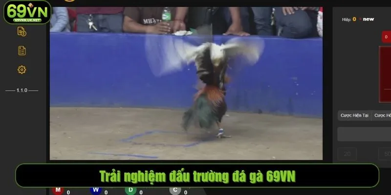 Trải nghiệm đấu trường đá gà 69VN